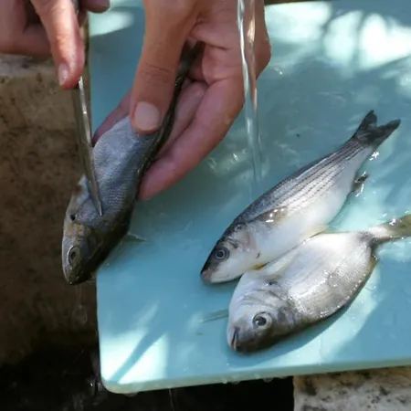 Vikendica Kuca Sunca *