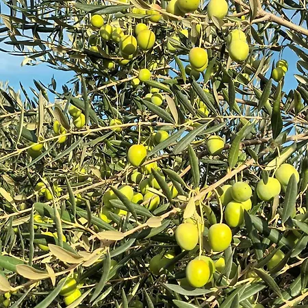 Vikendica Kuca Sunca *